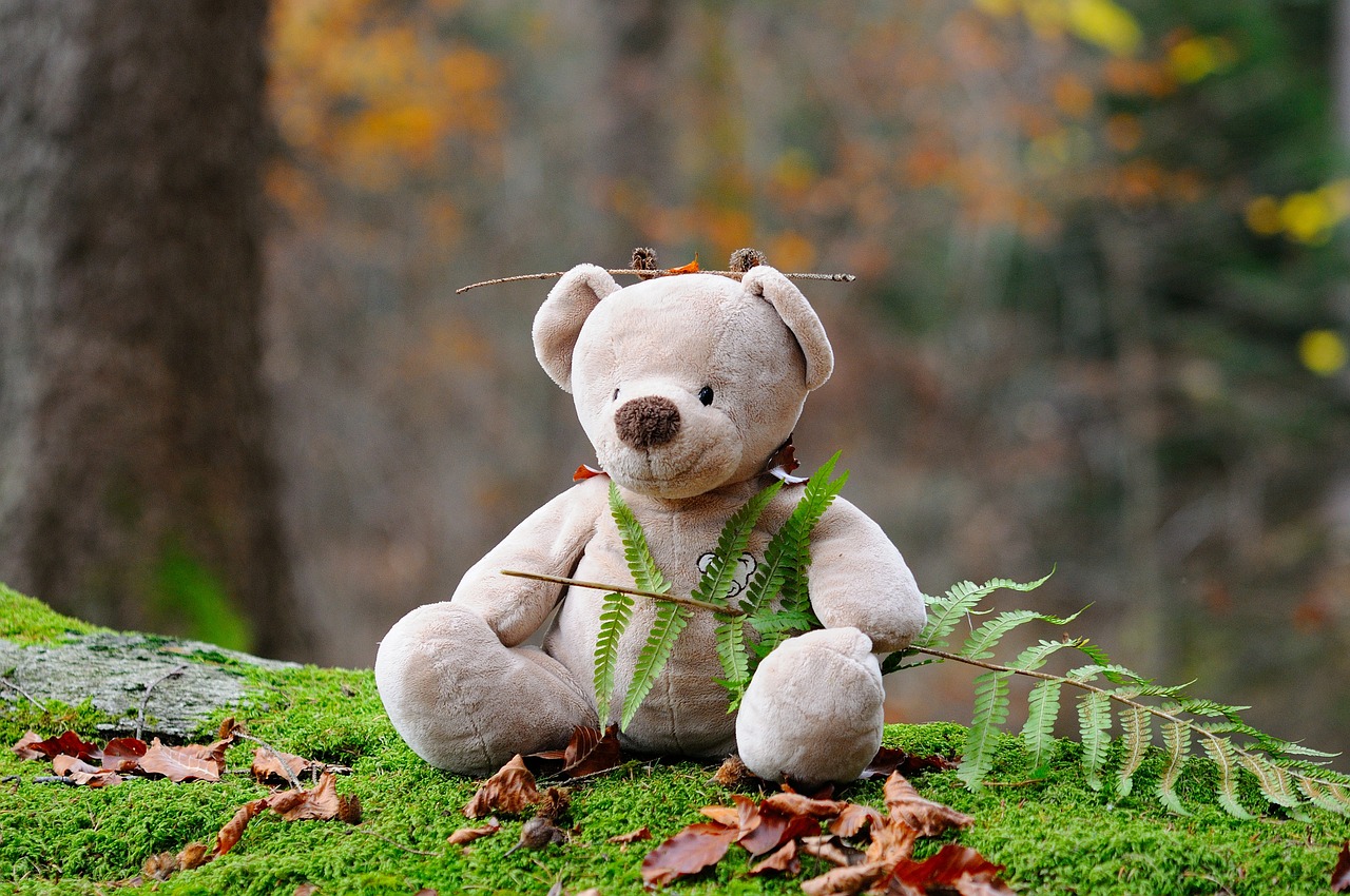 Image - teddy bear bear children toys