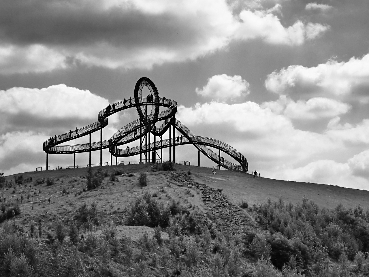 Image - tiger and turtle duisburg