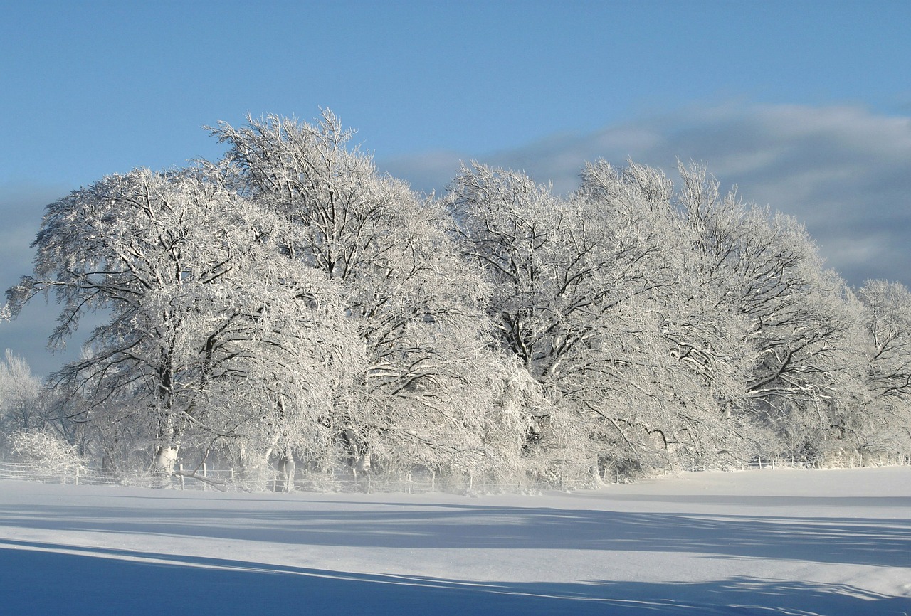Image - winter wintry snow winter magic