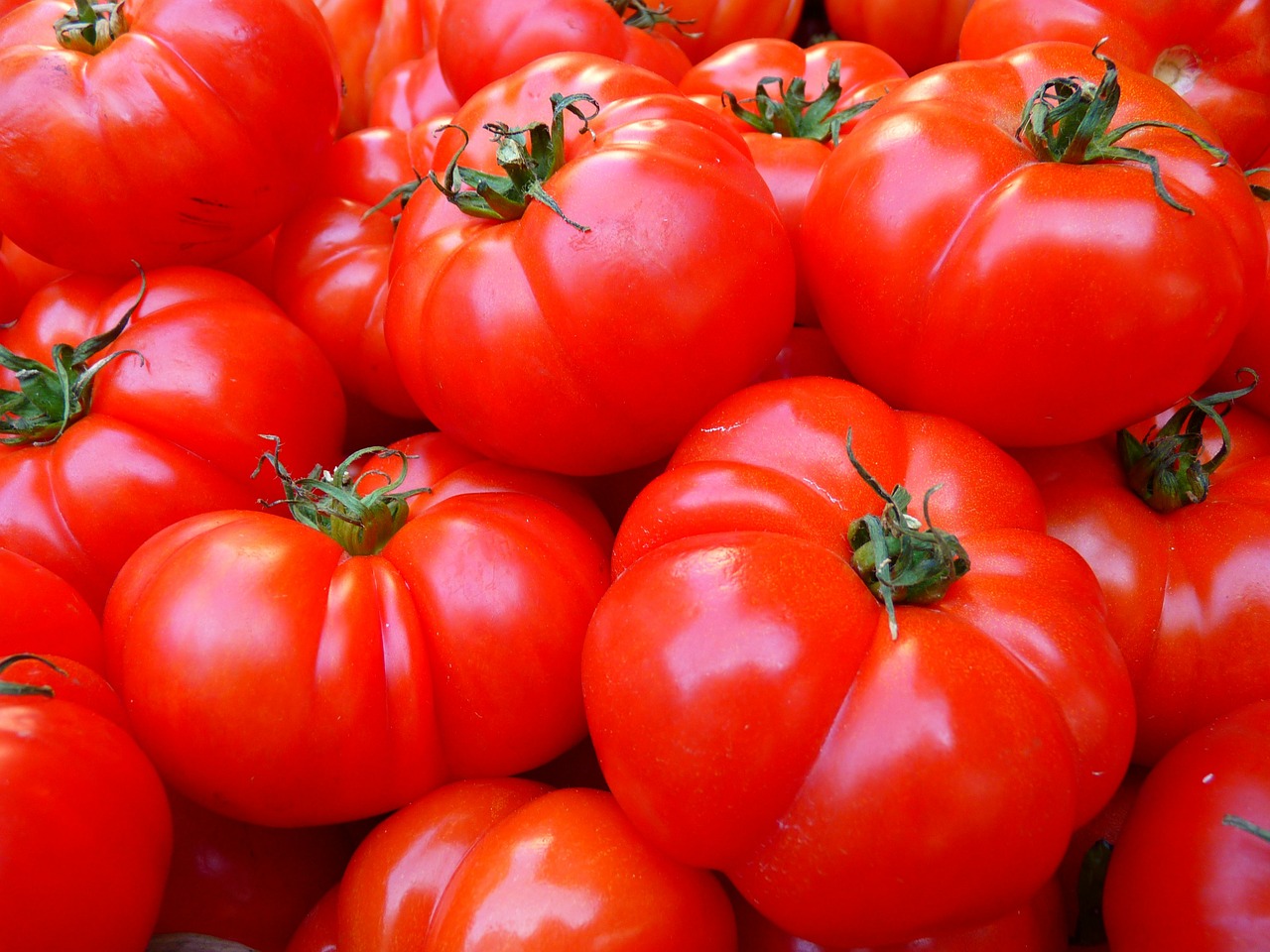 Image - tomatoes vegetables red food