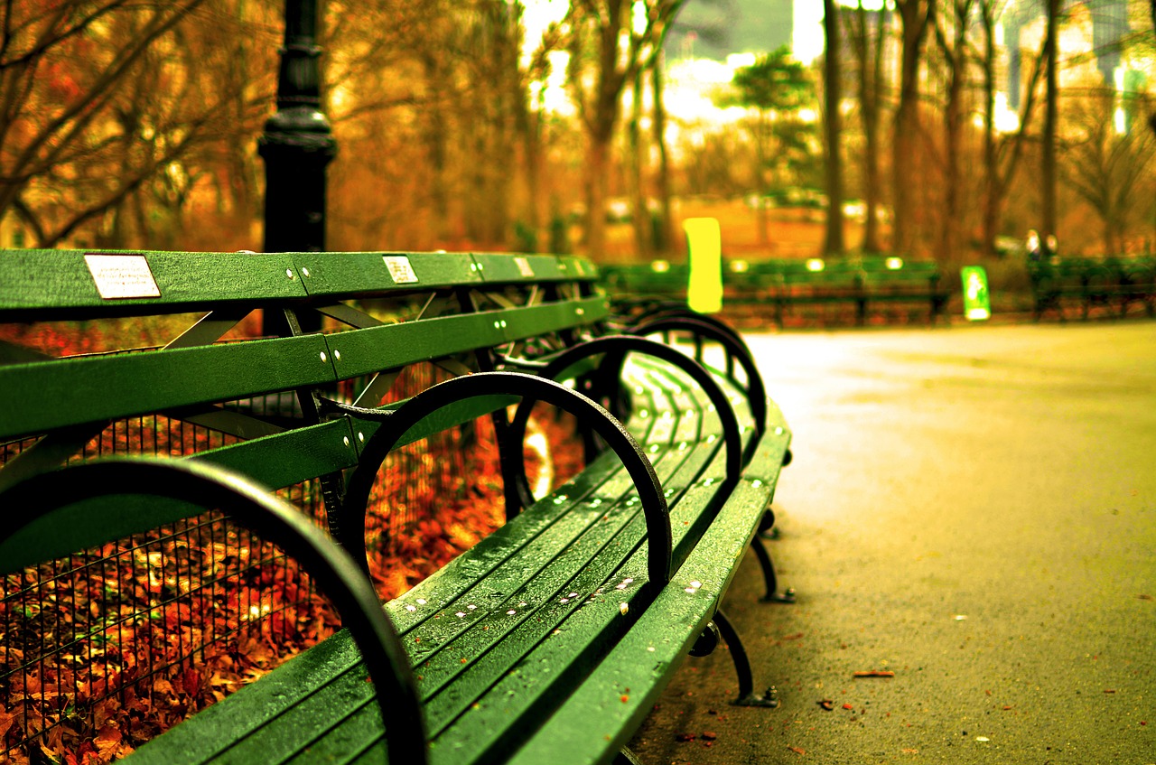 Image - central park new york city benches