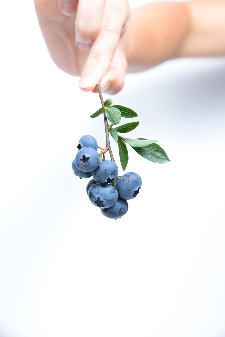 Image - blueberry fruit blue