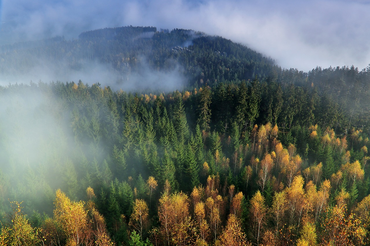 Image - autumn mountains the fog forest