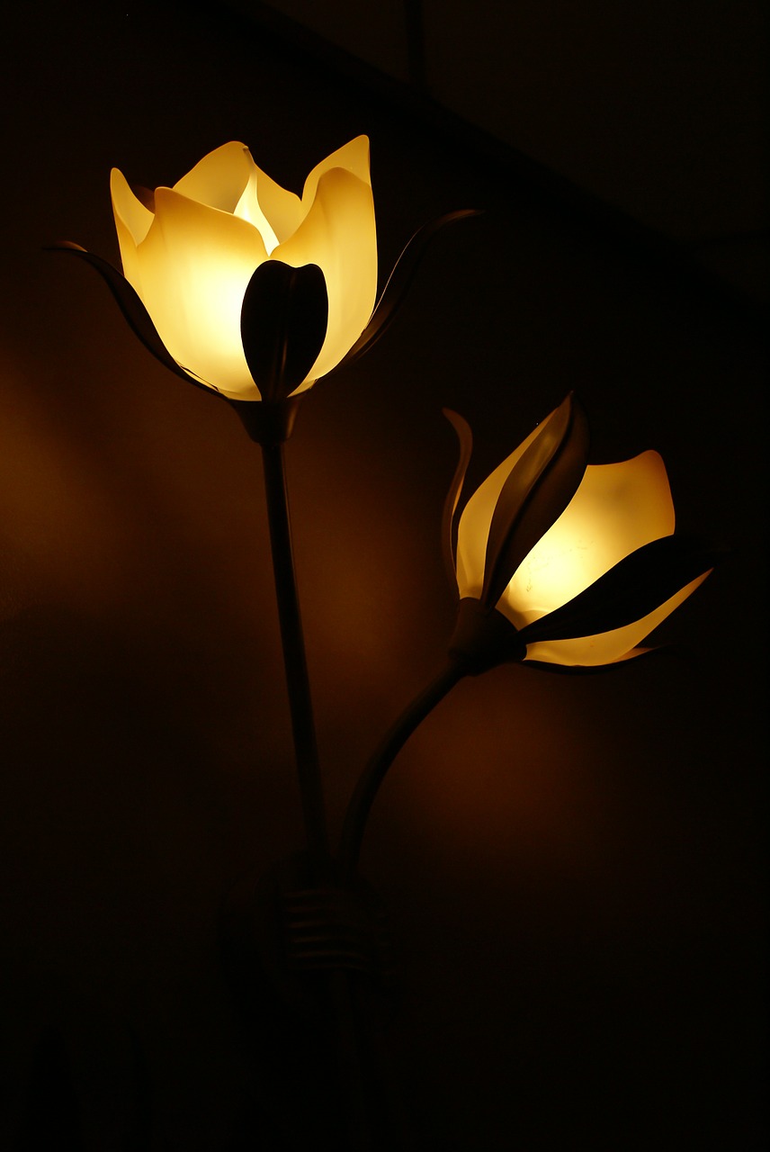 Image - lamp flower light lamps lighting