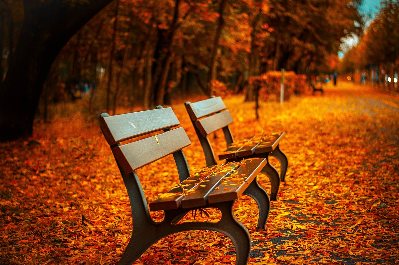 Image - bench fall park rest sit autumn