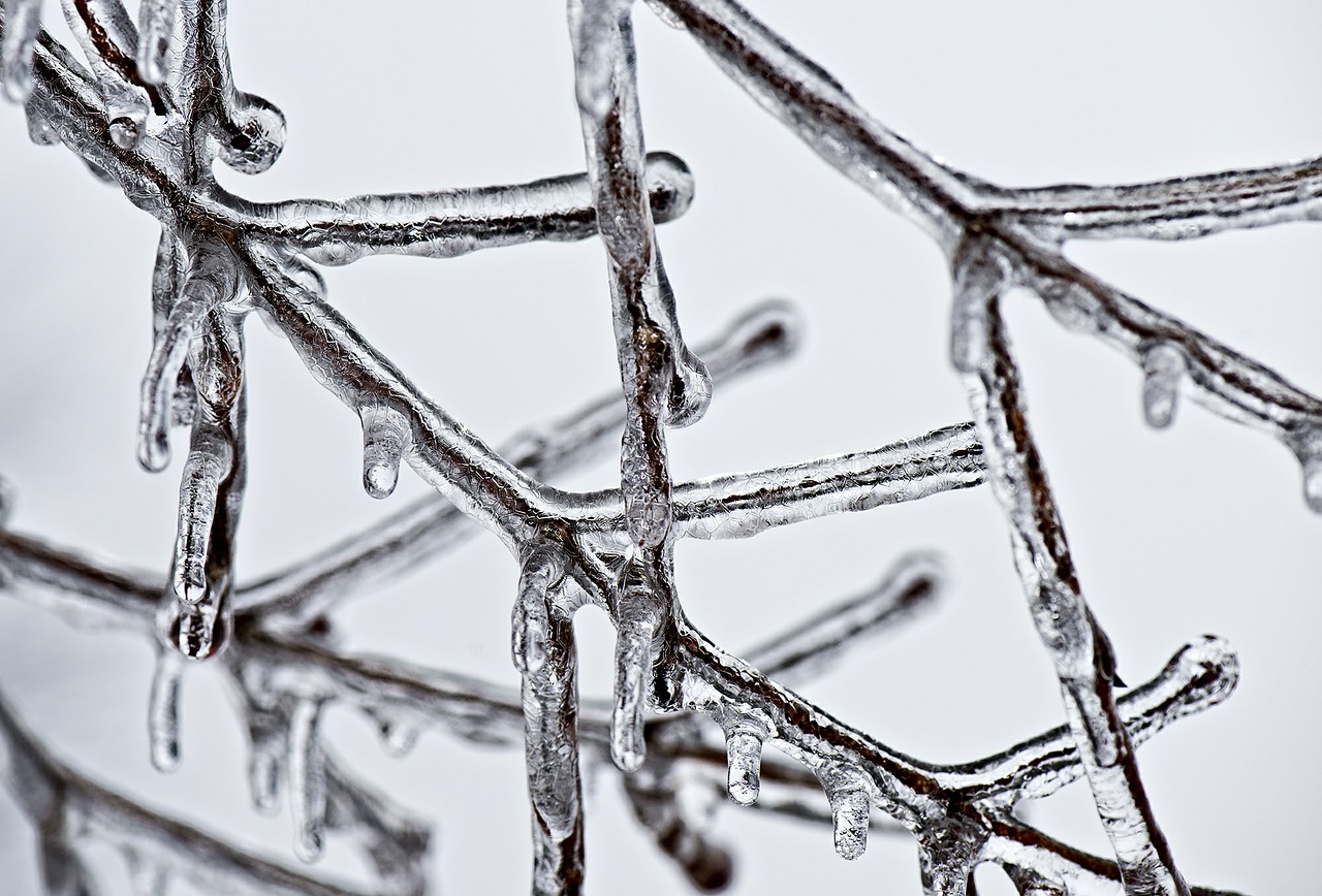 Image - ice winter weather cold cool