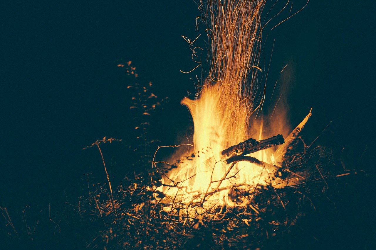 Image - campfire flames fire warm heat