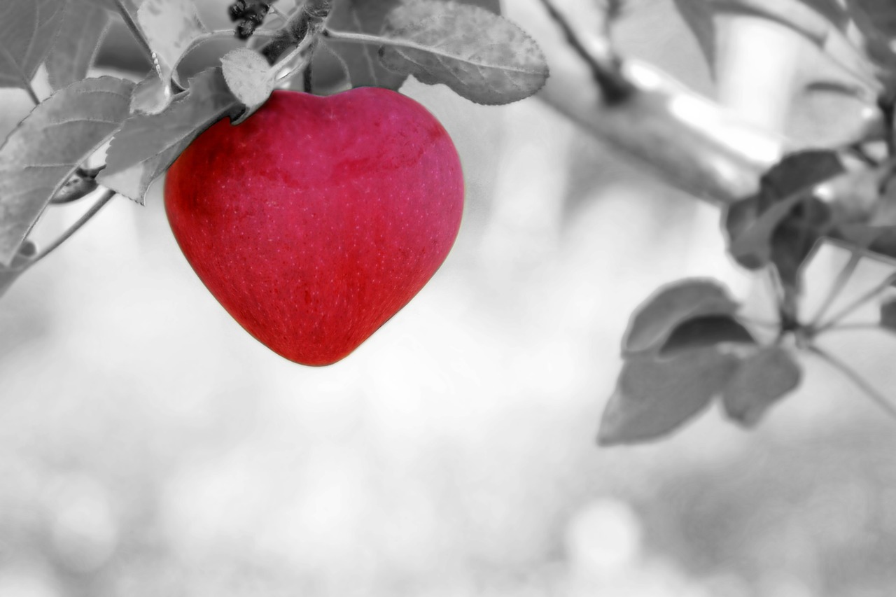 Image - apple love heart