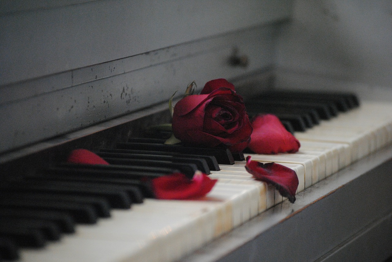 Image - piano rose red flower love