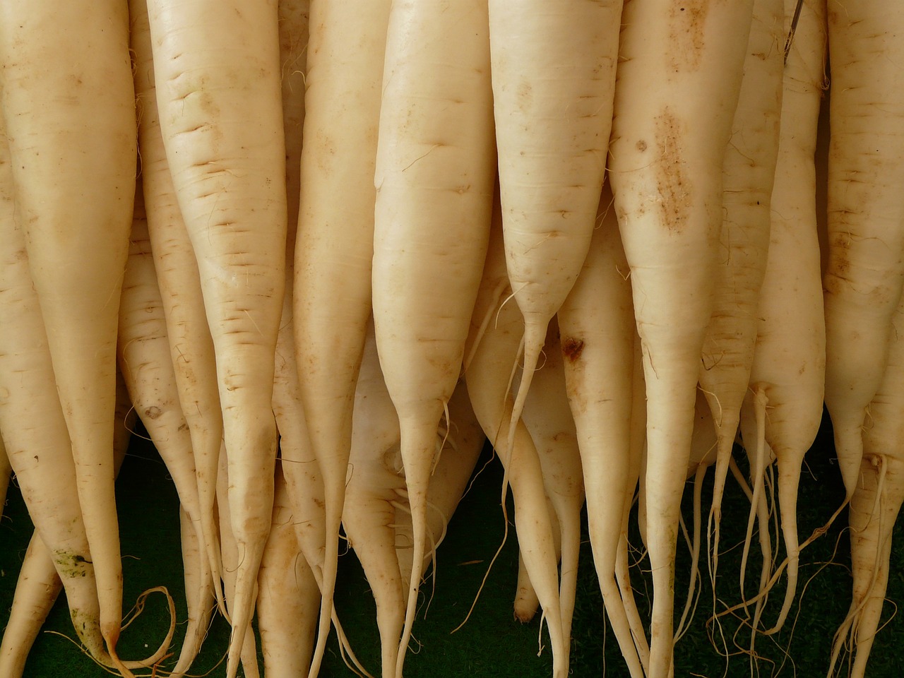 Image - white radish radish vegetables food