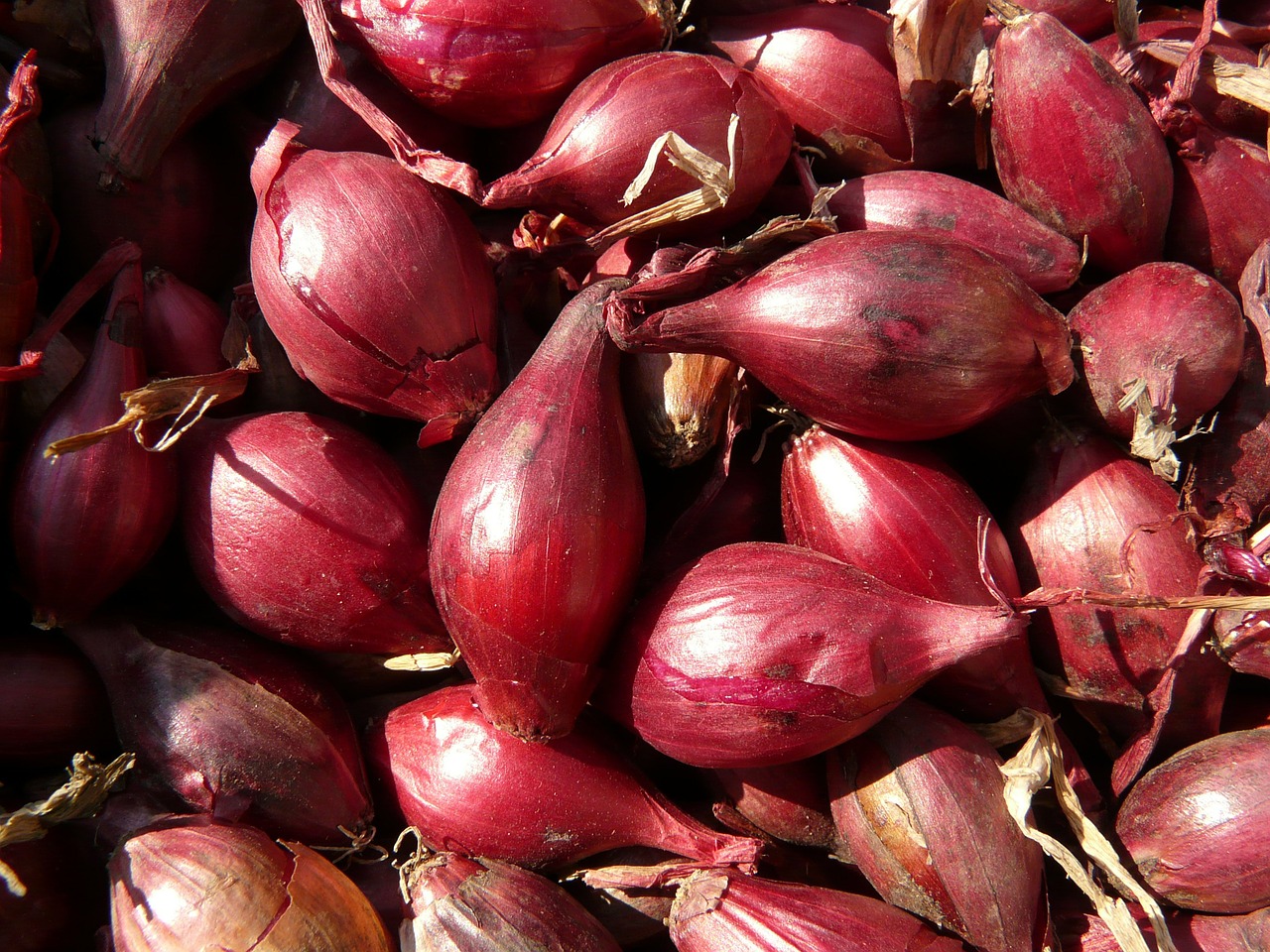 Image - red shallots shallots shallot