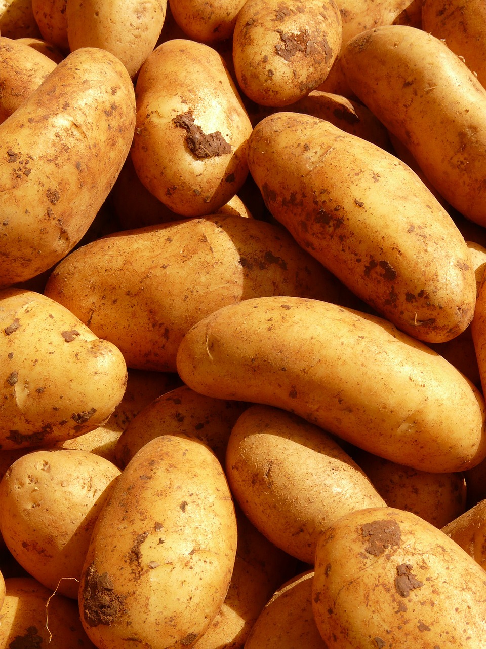 Image - potatoes vegetables potato food