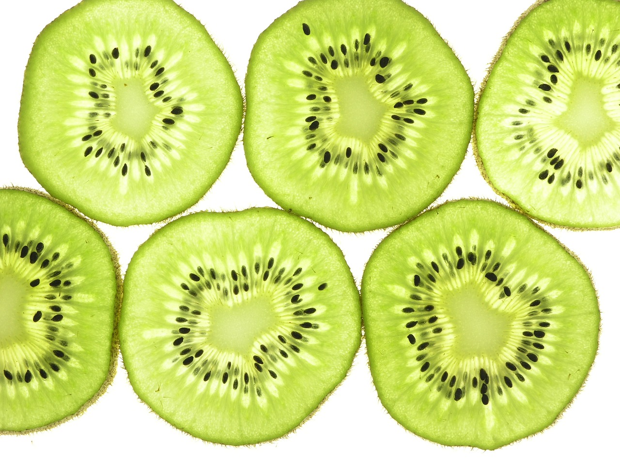 Image - kiwi fruit slices thin back lit