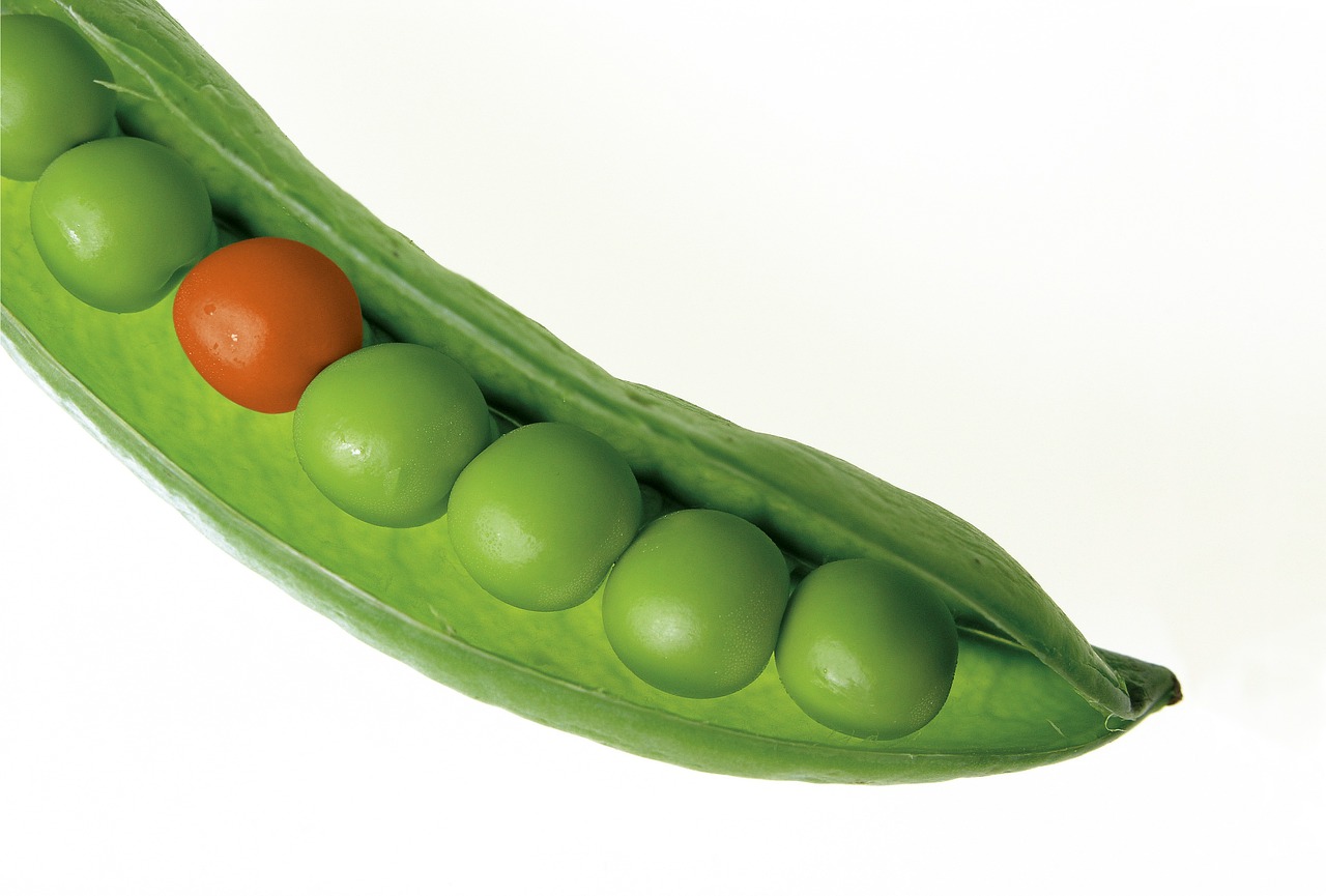 Image - peas pod pea pod green fresh