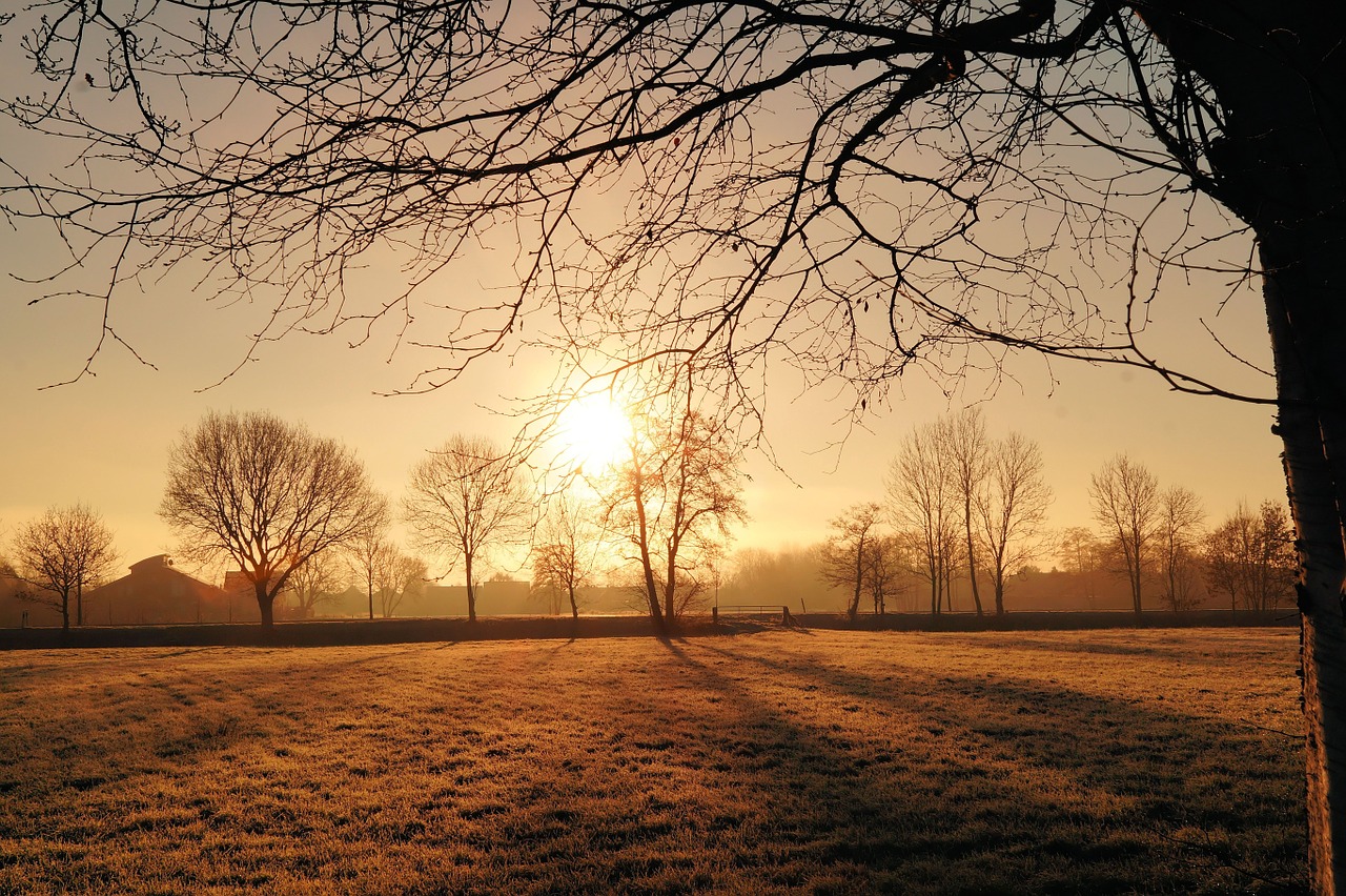 Image - sunrise cold iced hoarfrost