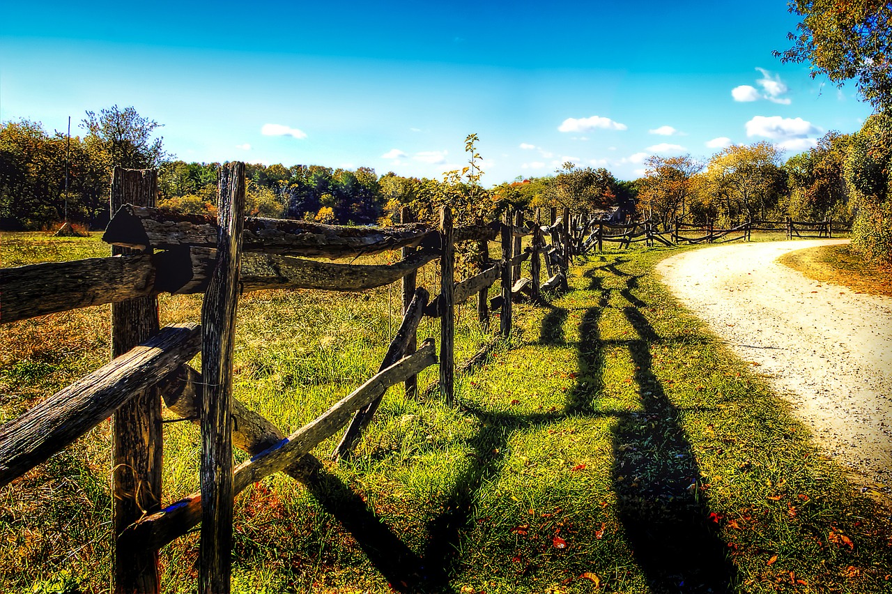 Image - country lane country road scenery