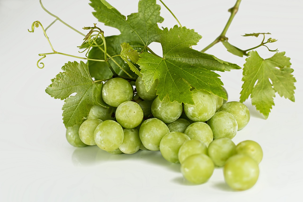 Image - grapes green fruit fresh bunch