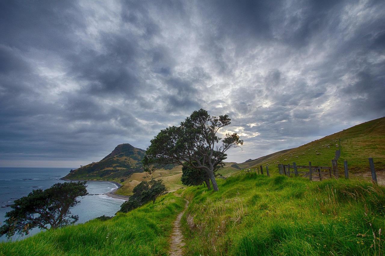 Image - new zealand path trail corum andel