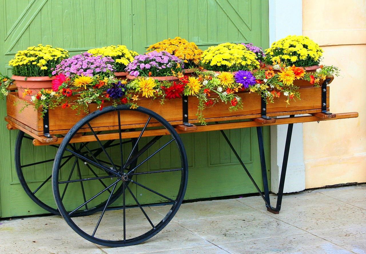 Image - flower cart wagon mums