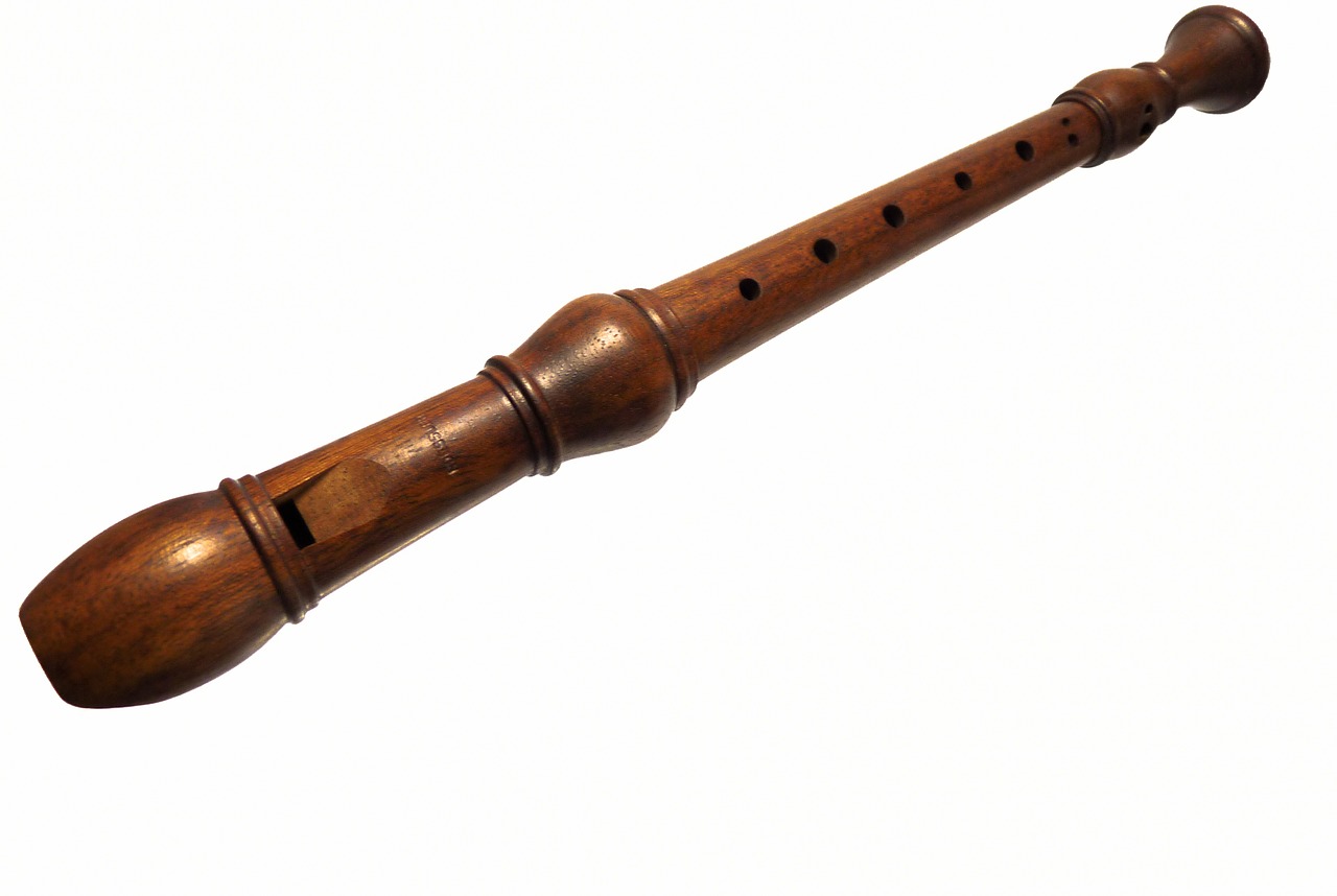Image - flute recorder instrument music
