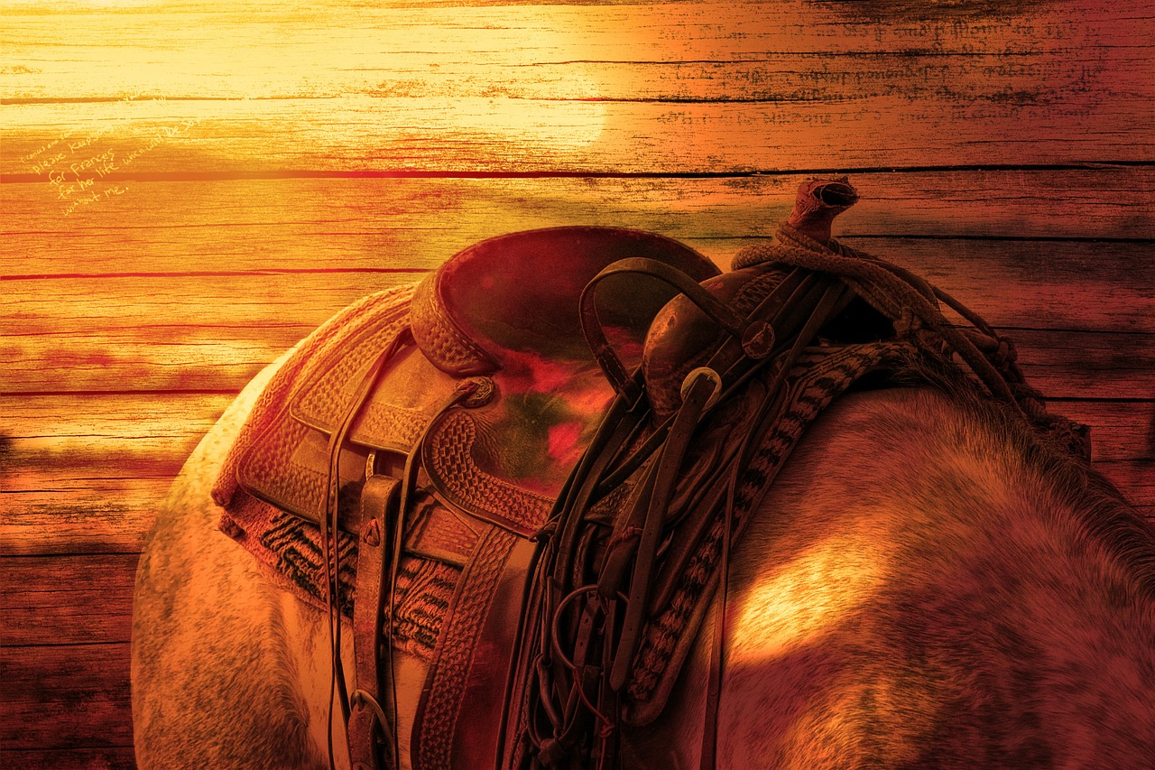 Image - horse s back ride horse saddle