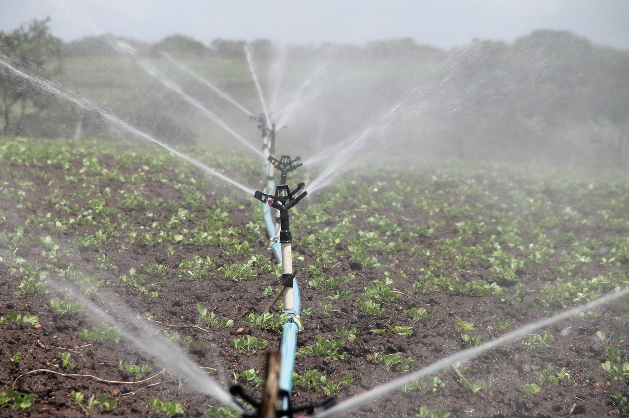 Image - irrigation agriculture sprinkling