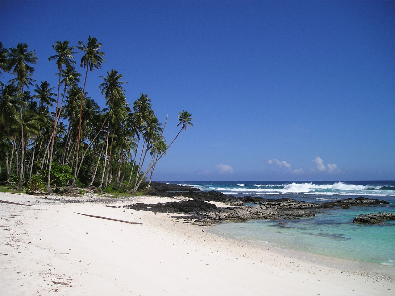 Image - palm trees beach beautiful beach