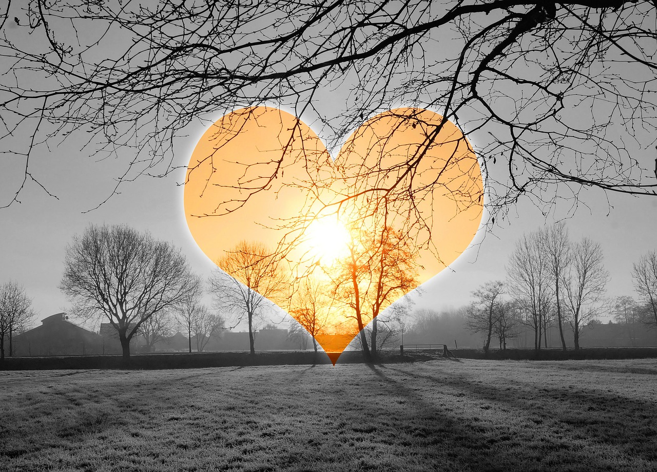 Image - heart love sunrise cold iced
