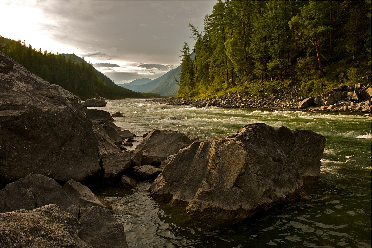 Image - creek river nature landscape