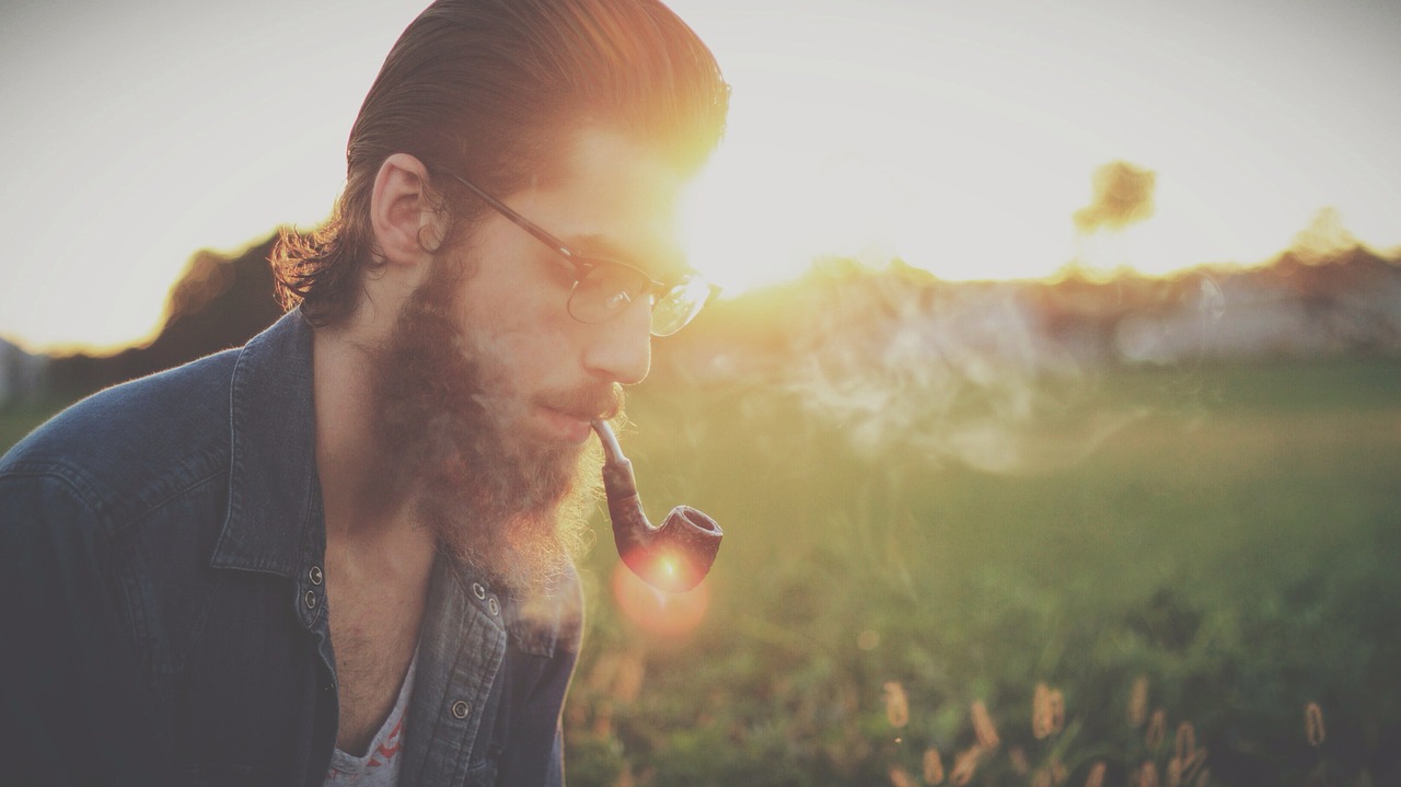 Image - man glasses hipster beard adult