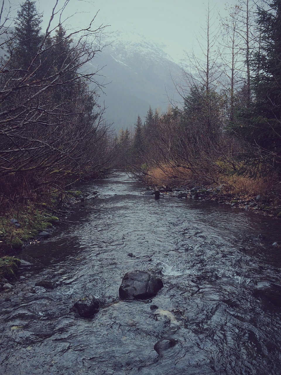 Image - river mountains nature landscape