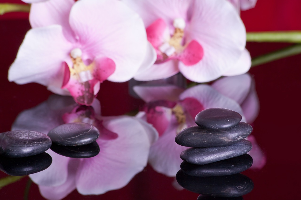 Image - massage mirroring orchid recovery