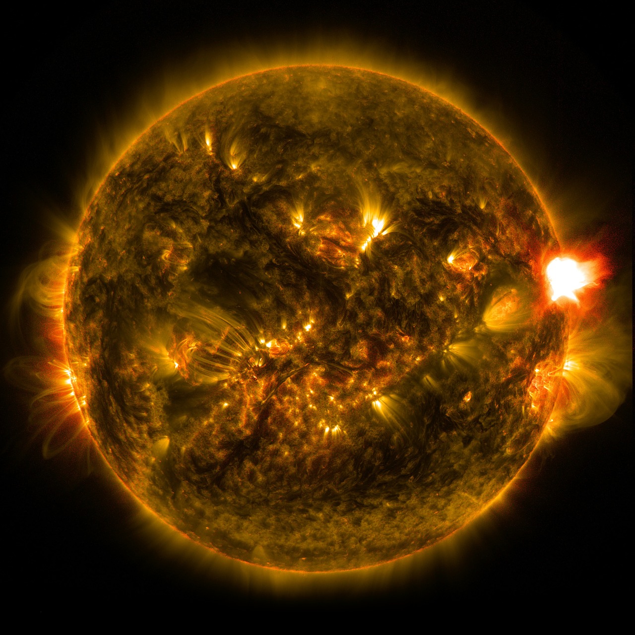 Image - solar flare x class sun eruption