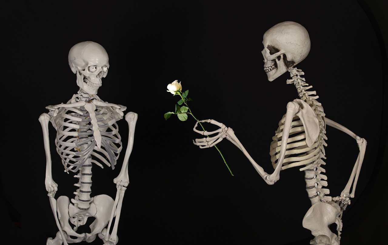 Image - skeletal flower congratulations