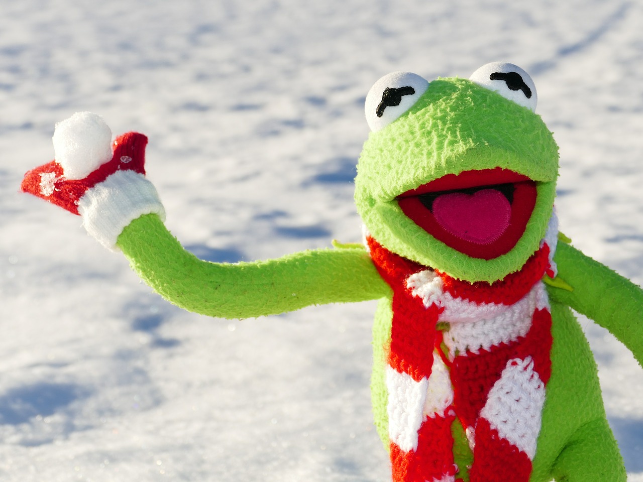 Image - kermit frog snow ball throw snow