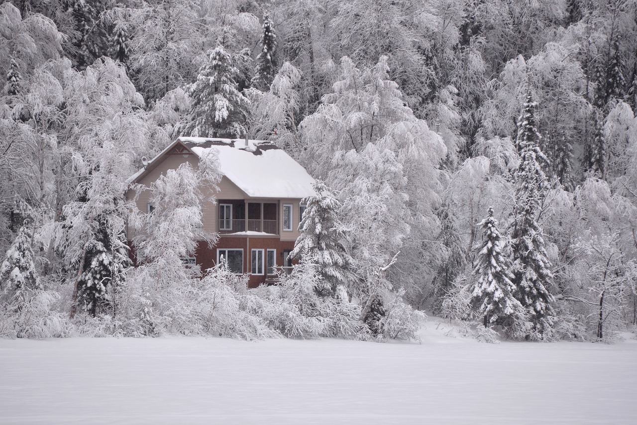 Image - winter landscape snow frozen lake