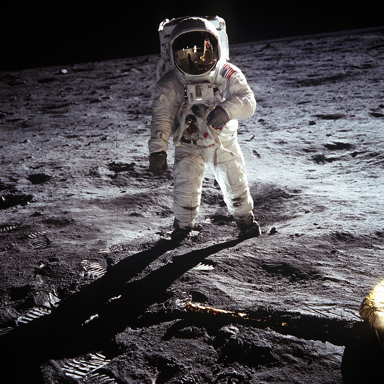 Image - moon landing apollo 11 nasa