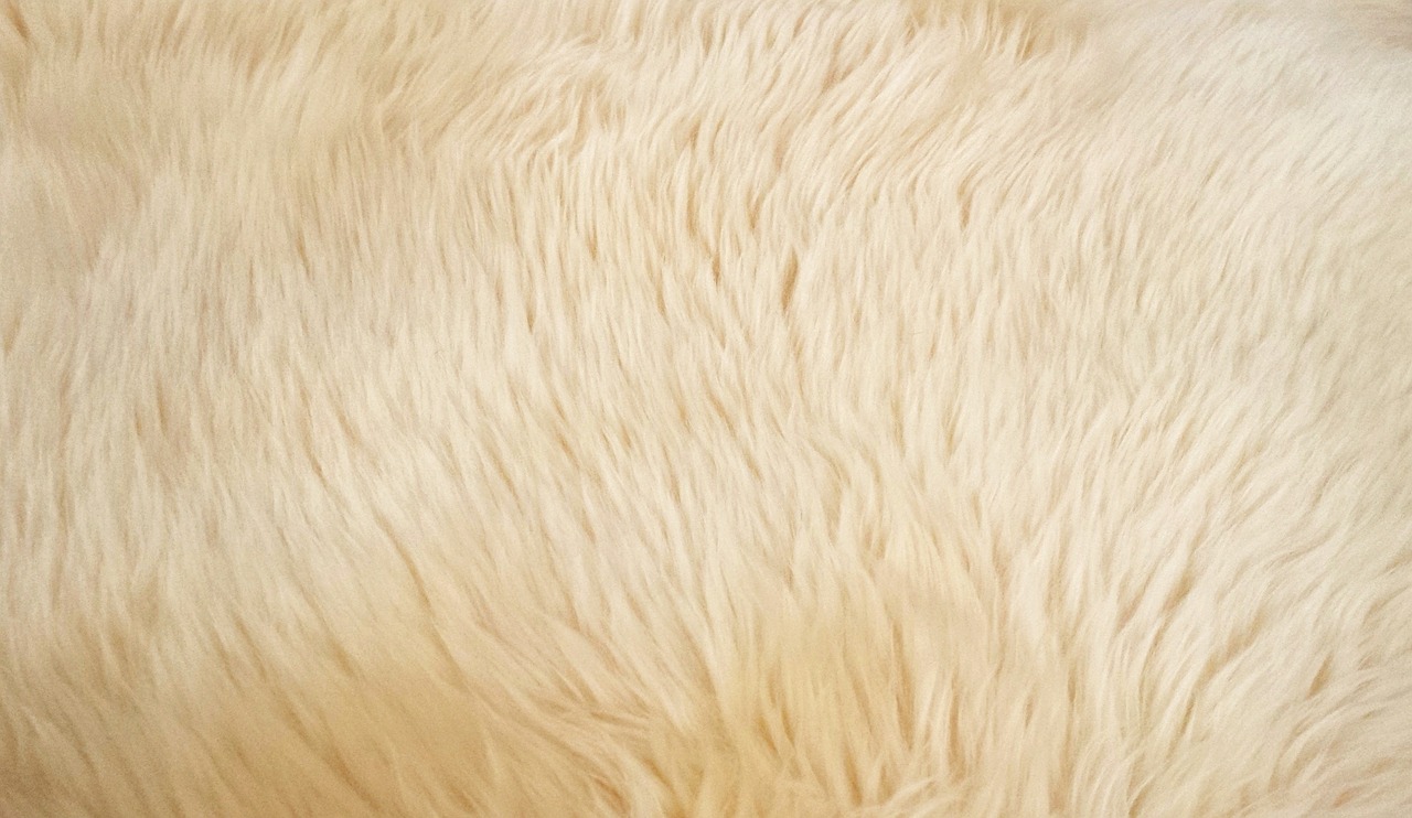 Image - goat hair fur animal texture