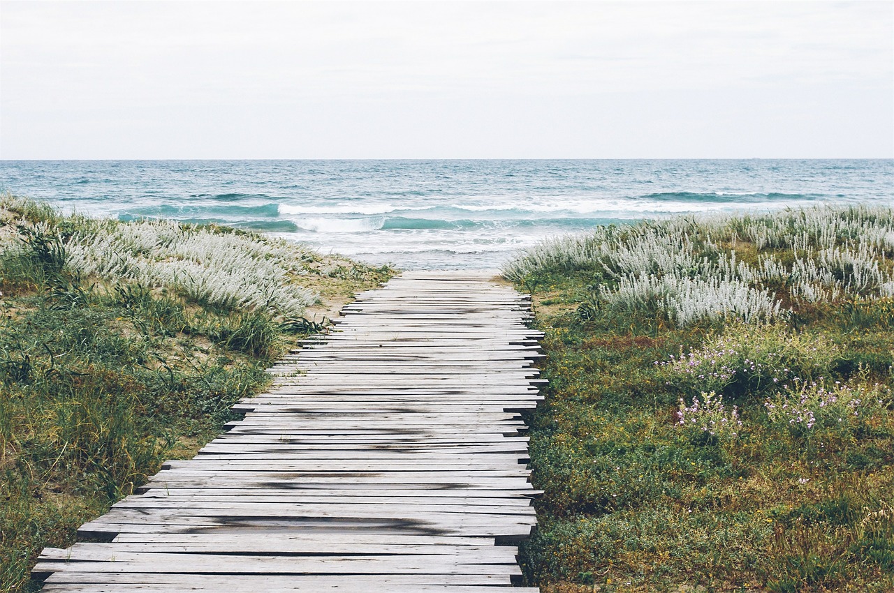 Image - planks jetty ocean wood wooden