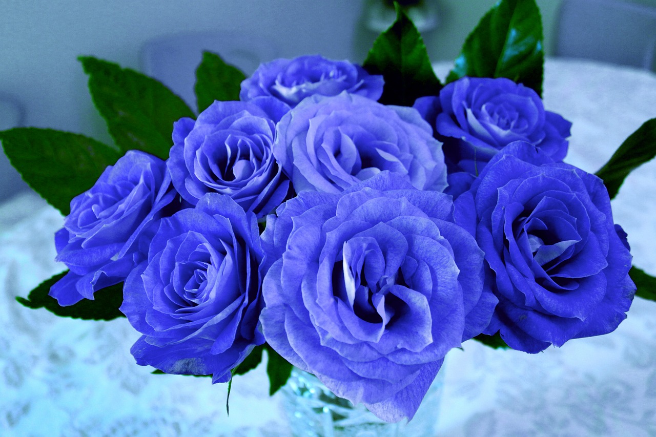 Image - flowers roses floral bouquet blue