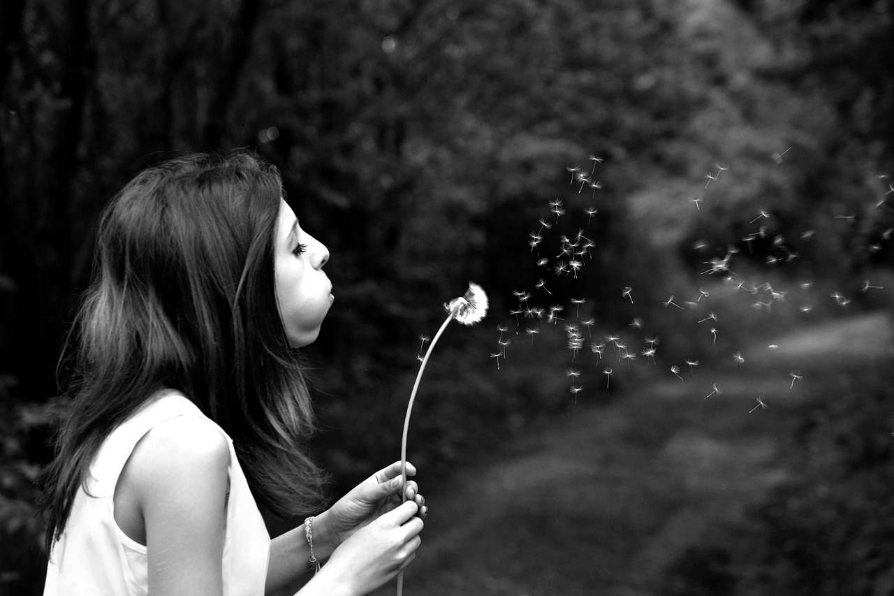 Image - girl dandelion wish summer
