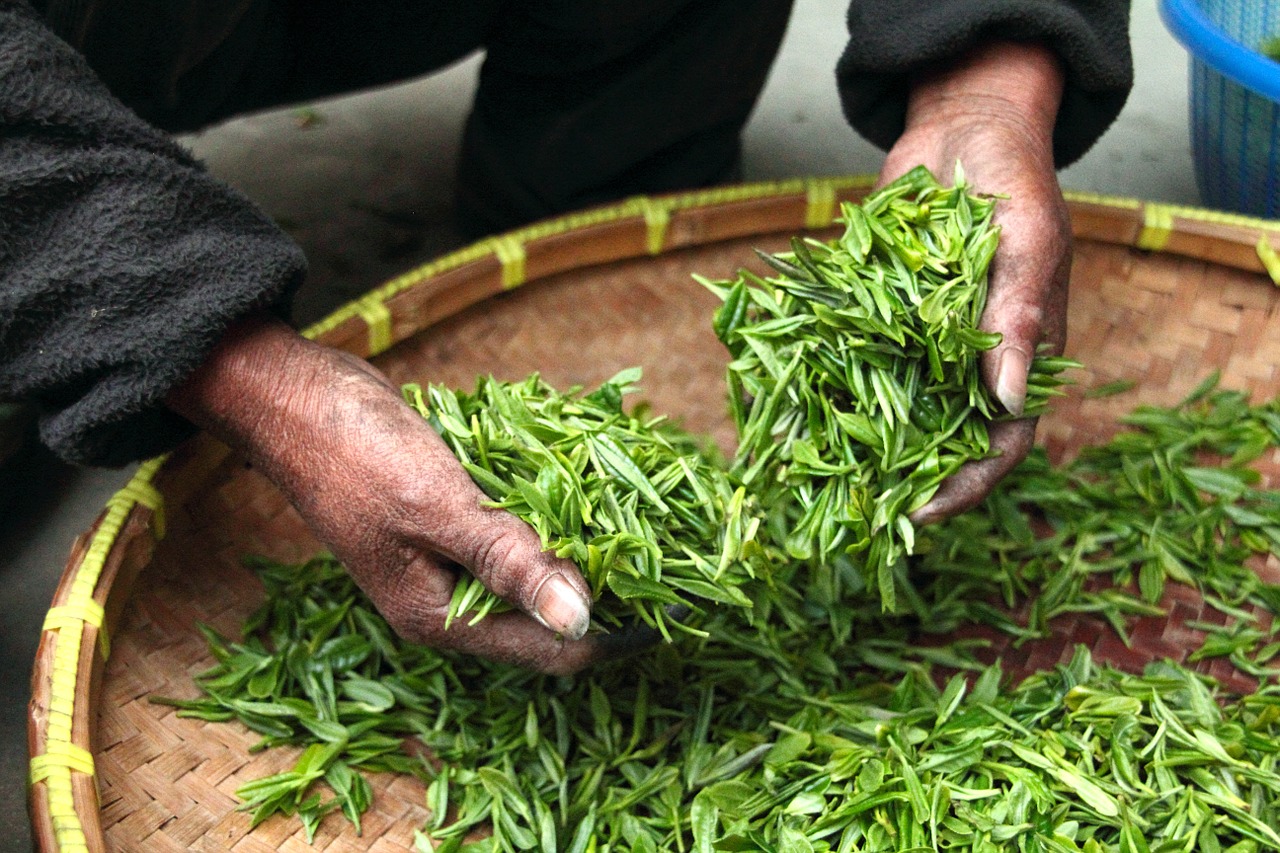 Image - tea farmhouse hand fresh