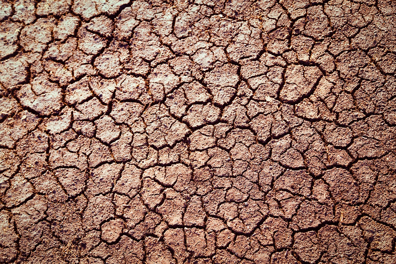 Image - earth cracked dry dirt ground