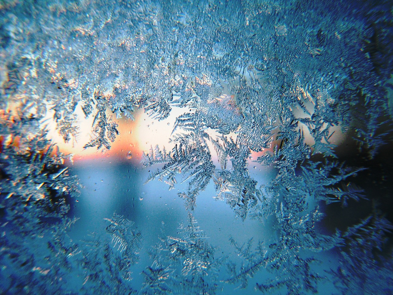 Image - frost winter morning snow season