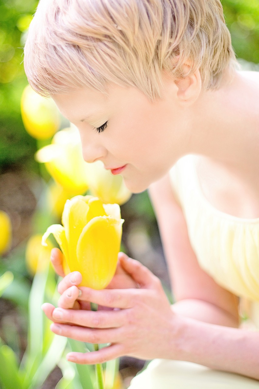 Image - tulips yellow blonde