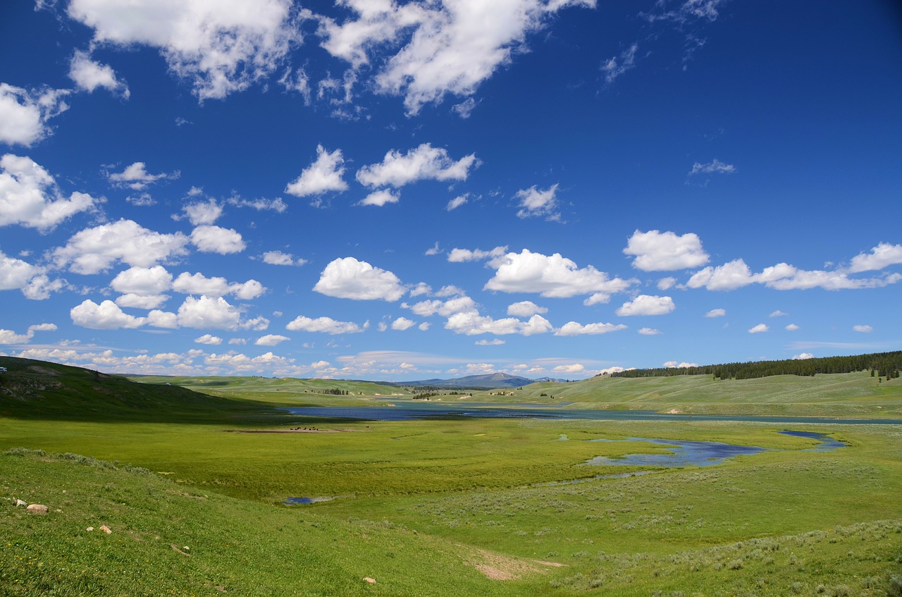 Image - hayden valley yellowstone valley