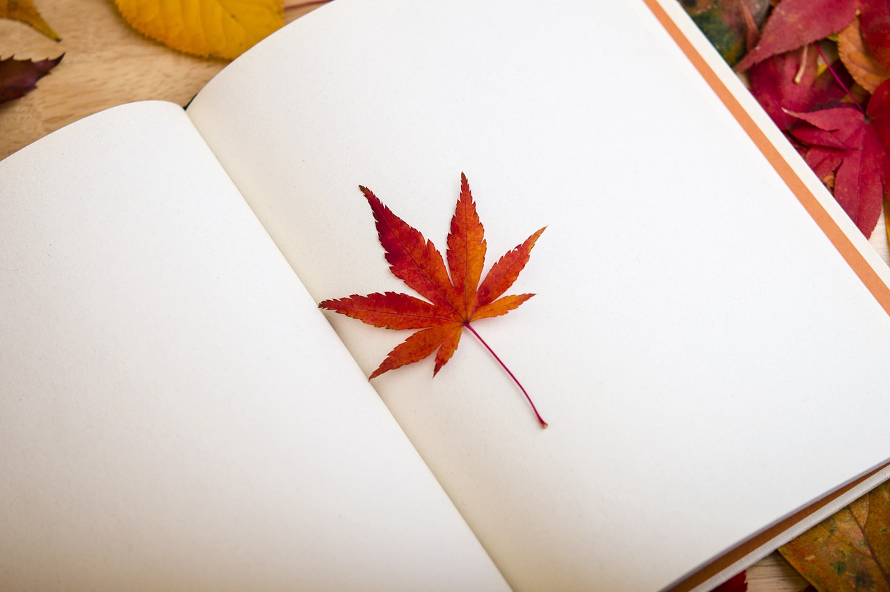 Image - maple leaf book reading dear diary