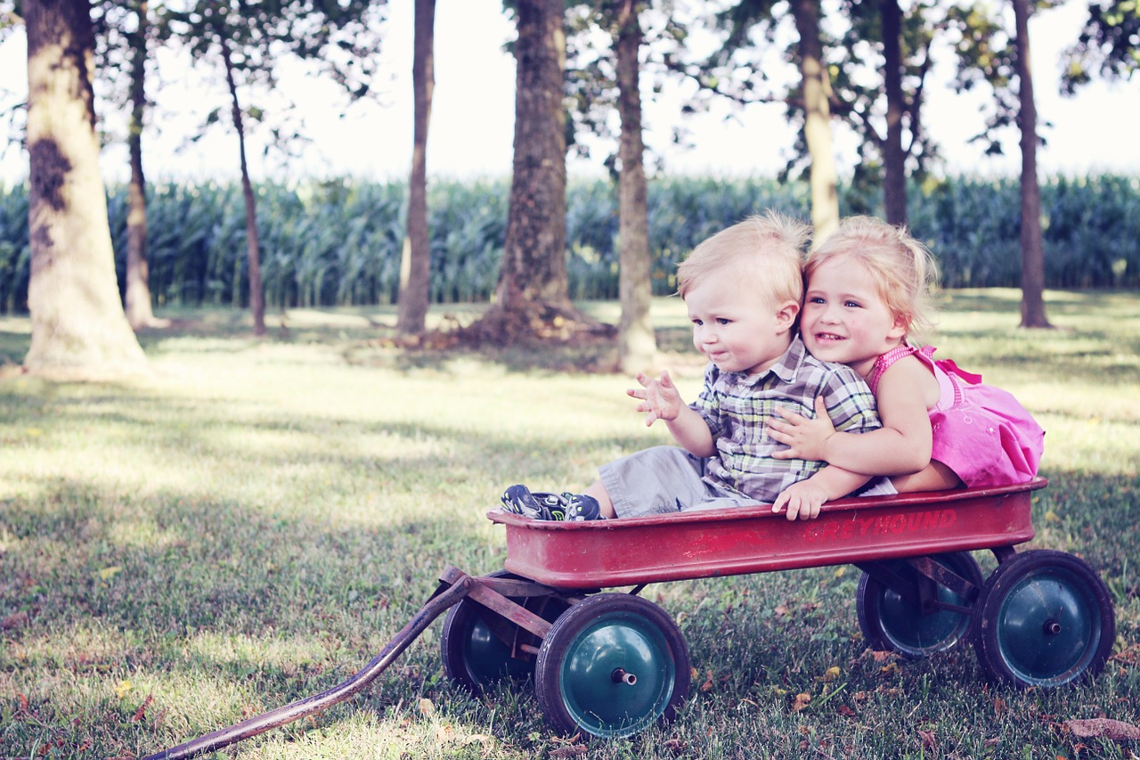 Image - youth children wagon child