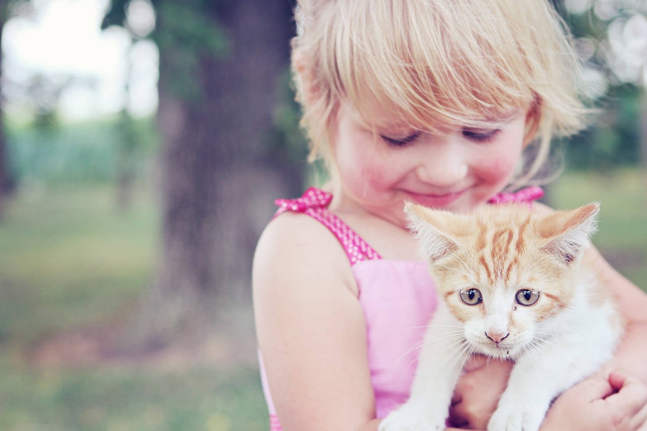 Image - girl kitten pet animal child cute