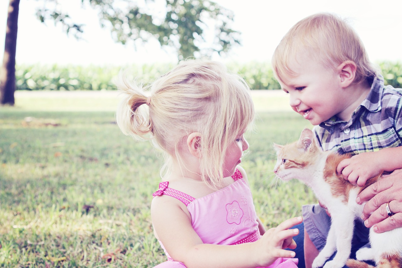 Image - girl boy kitten pet animal child